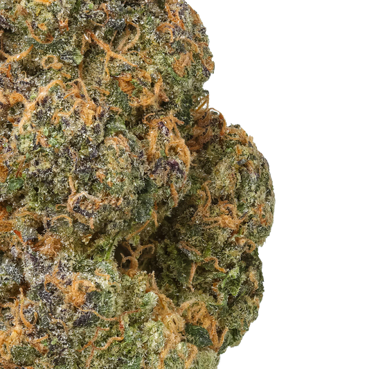 Black Maple