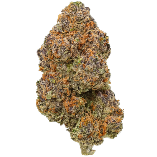 Close-up of a cannabis bud with orange trichomes on a white background