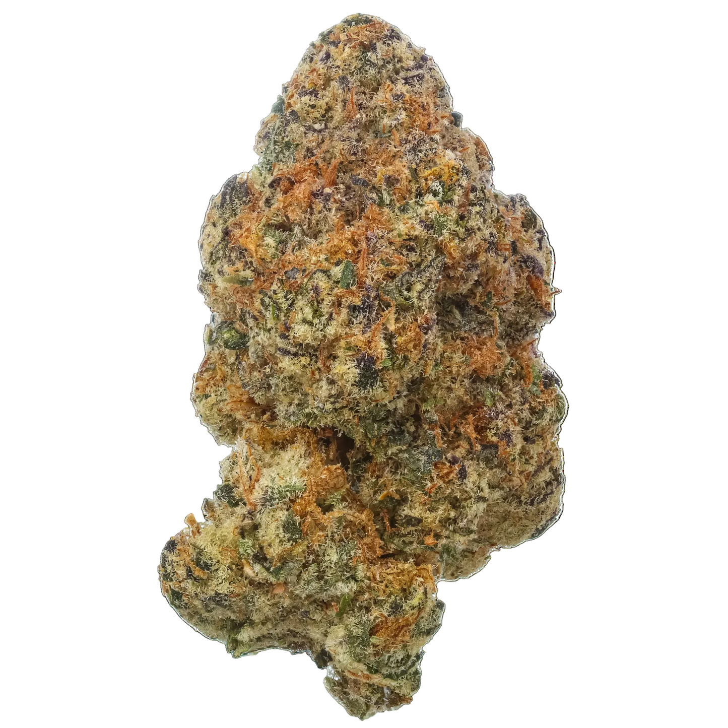 Black Baccara