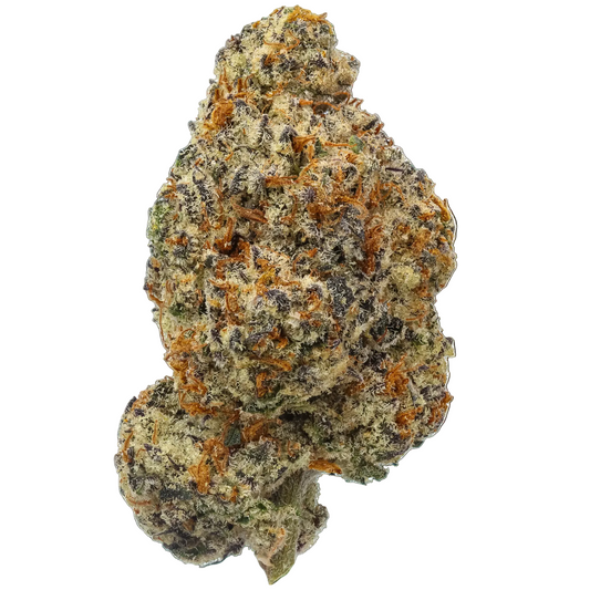 Close-up of a cannabis bud on a white background