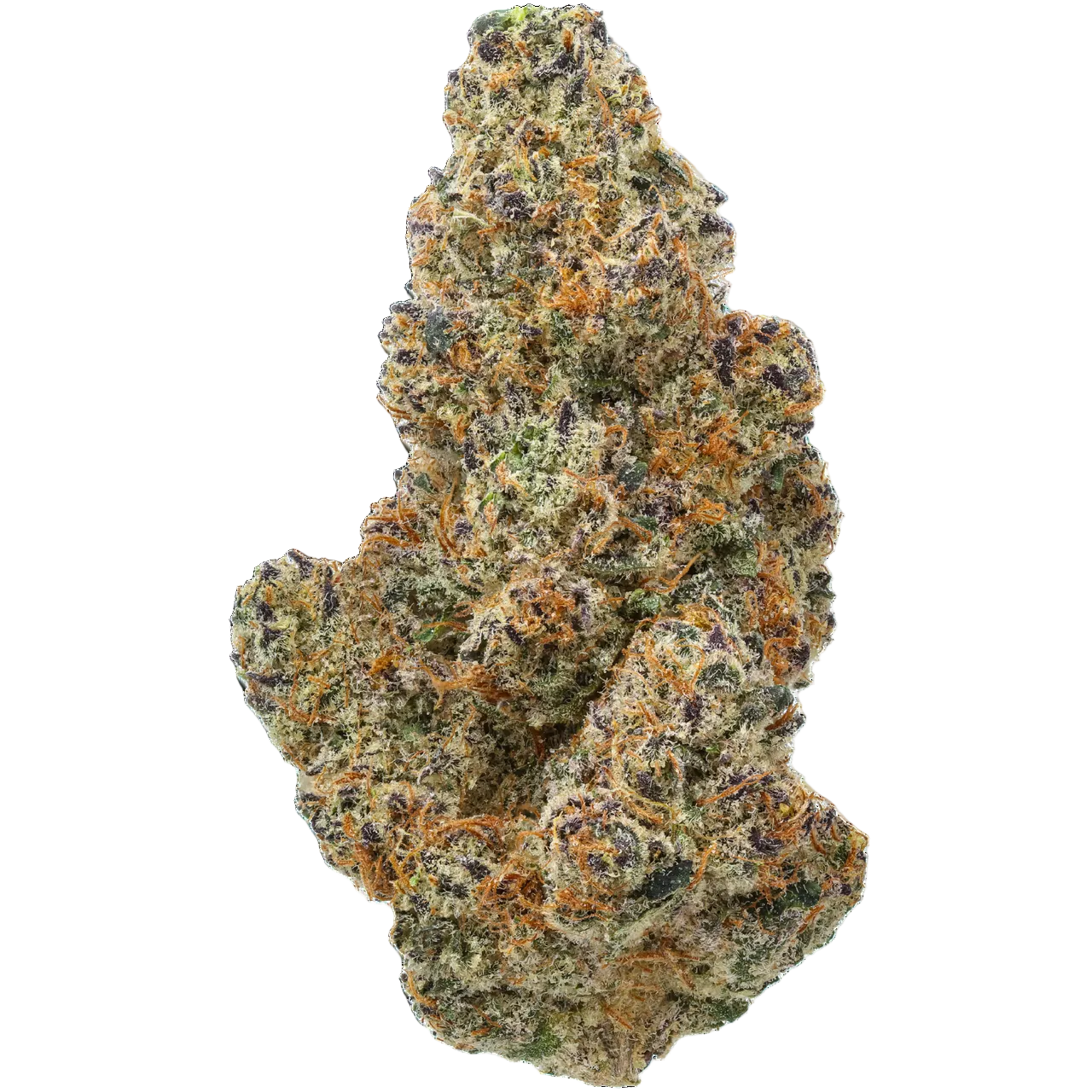Lemon Tree
