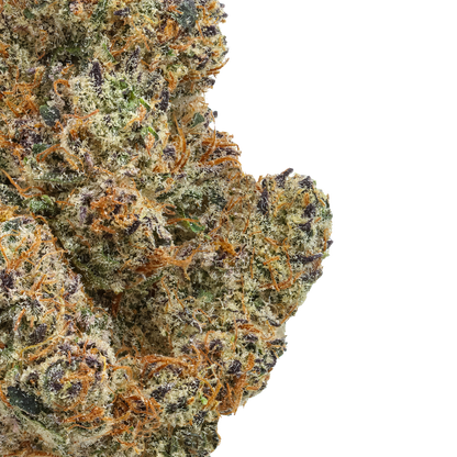 Lemon Tree