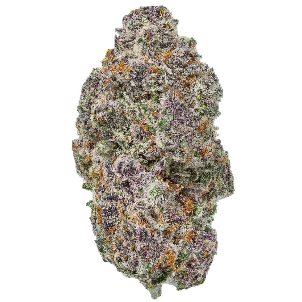 Alien Grape Vine cannabis bud close-up with purple, green, and orange hues