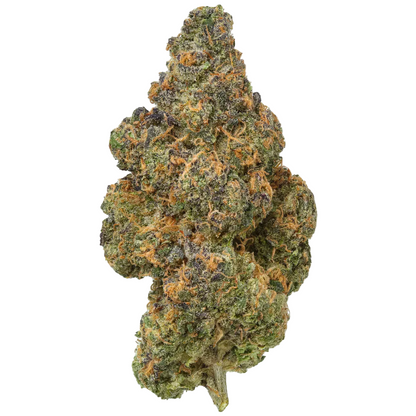 Close-up of a cannabis bud on a white background