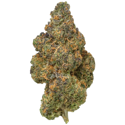 Close-up of a cannabis bud on a white background