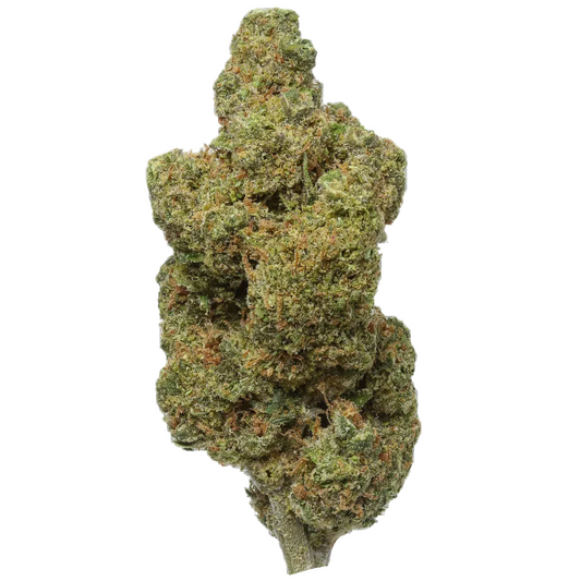 Close-up of Durban Poison cannabis bud, green and orange, isolated on white background