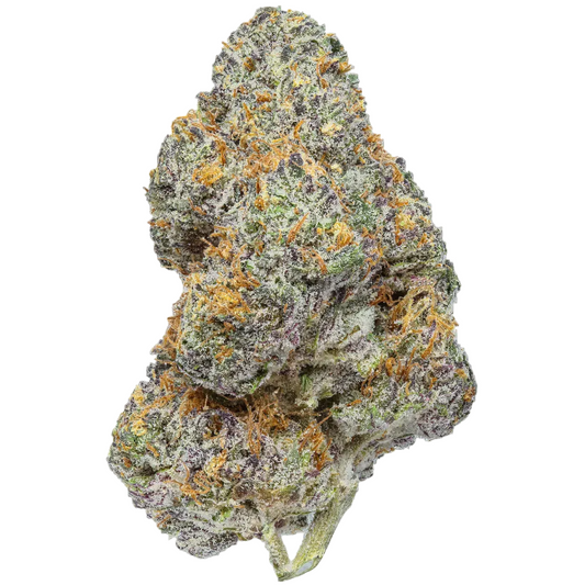 Close-up of dense Killer Cupcake cannabis bud with purple, green, and orange hairs